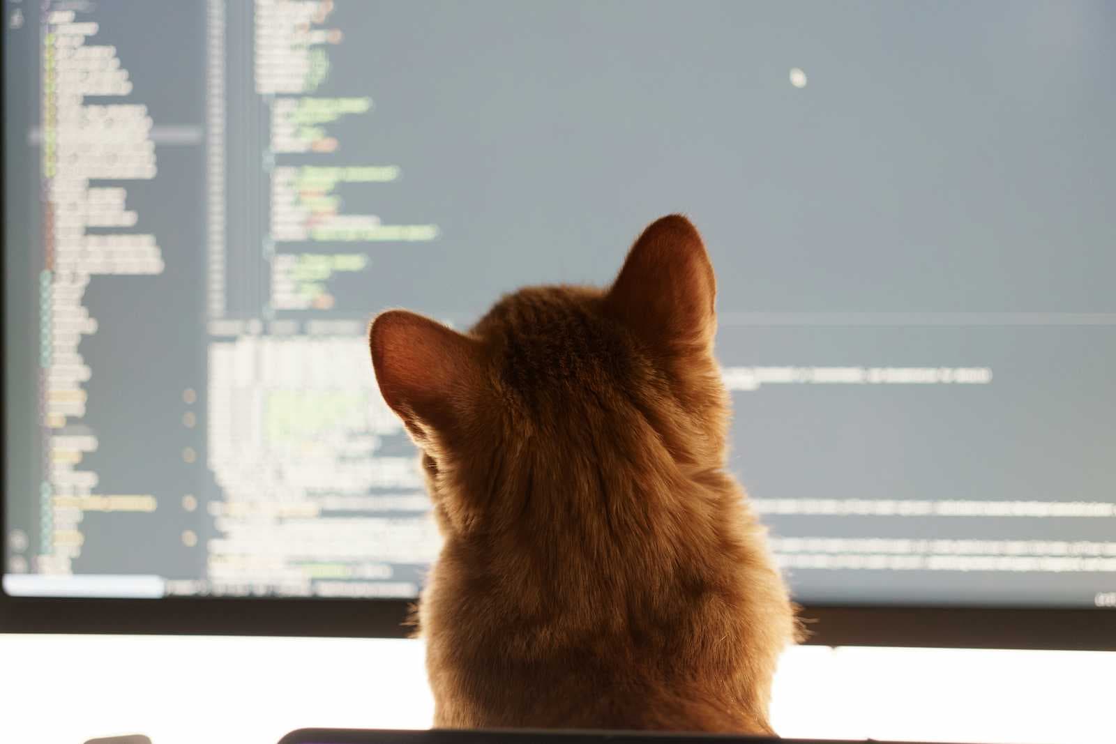 MCP (Model Context Protocol): Fondasi Baru Interaksi Aman antara AI dan Sistem Nyata